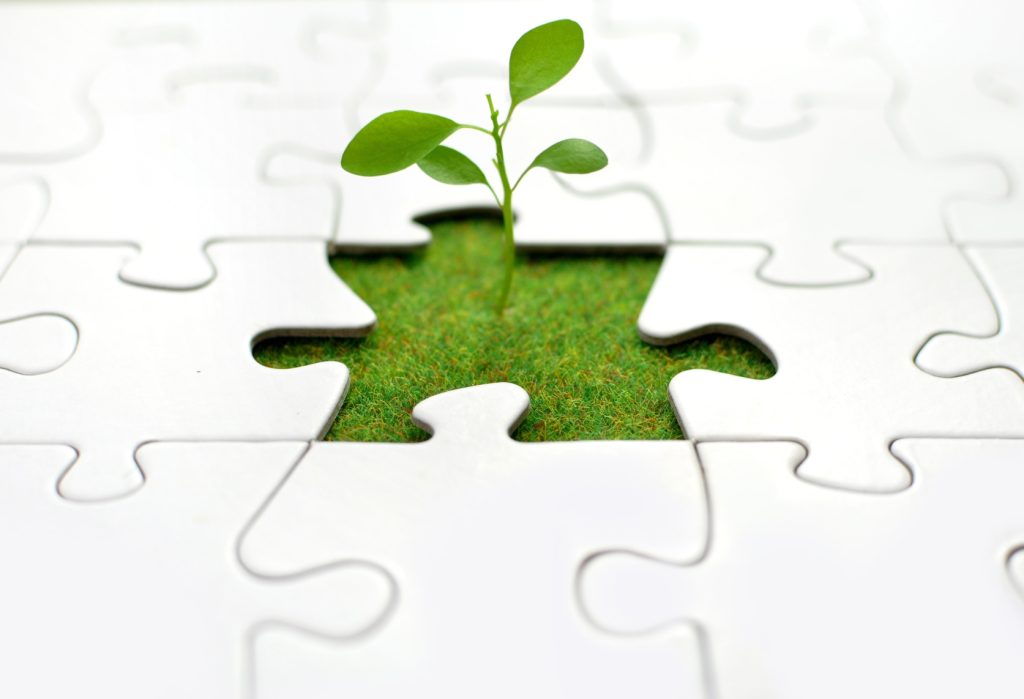 Time to Turn Your One-Person Business Into a Team? Here’s How to Minimize Hiring Risks.