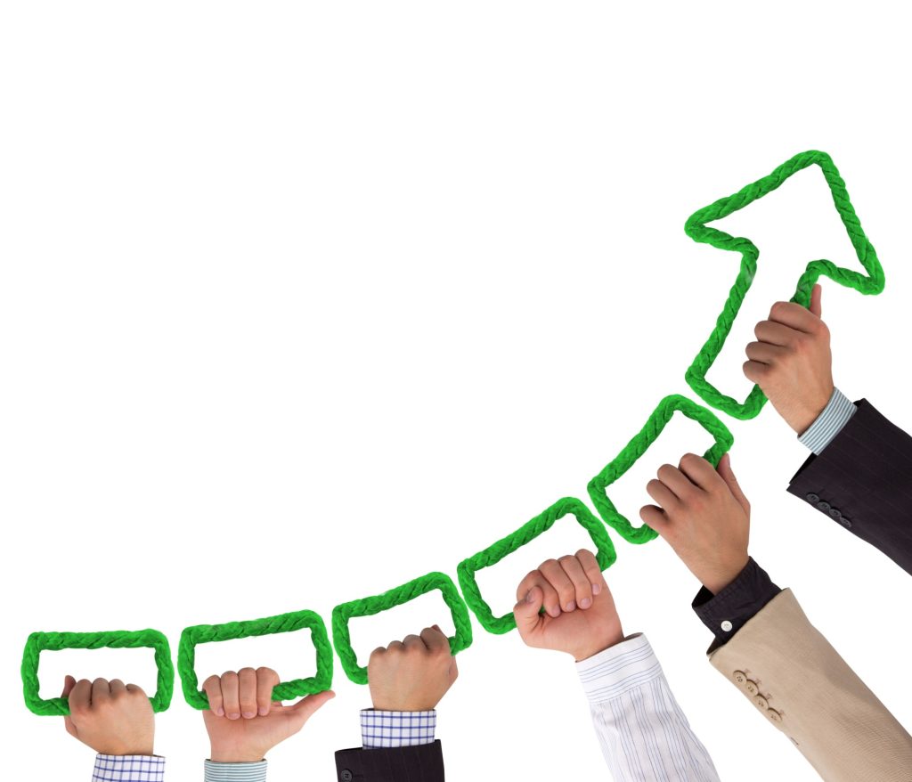 Innovate or Die: Keeping Your Company Alive in a Competitive Market