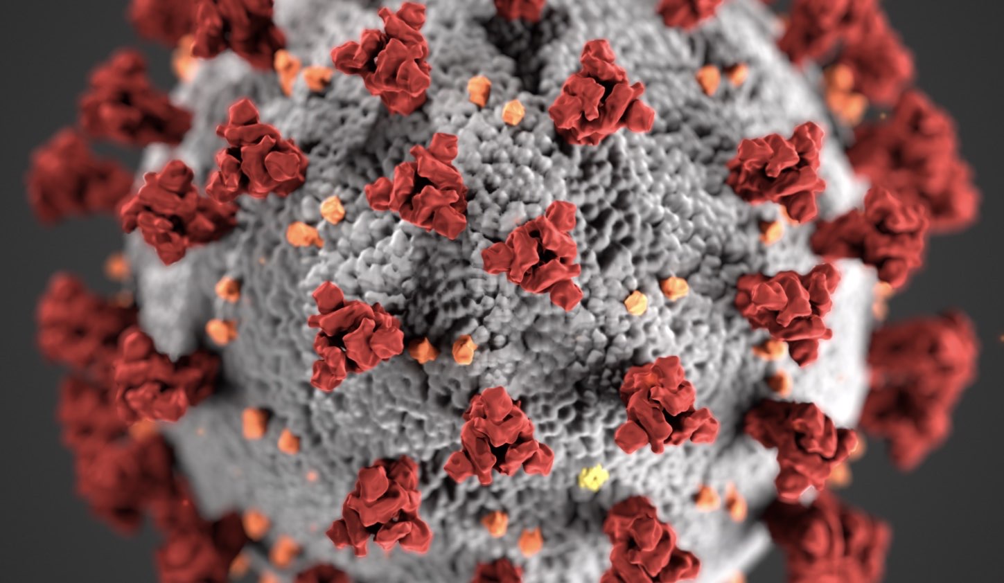 coronavirus under microscope